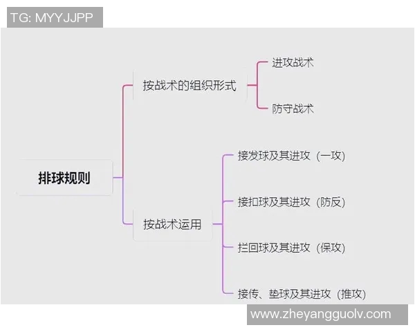 排球盛宴:深入解析西安排球队的战术配合与团队协作技巧